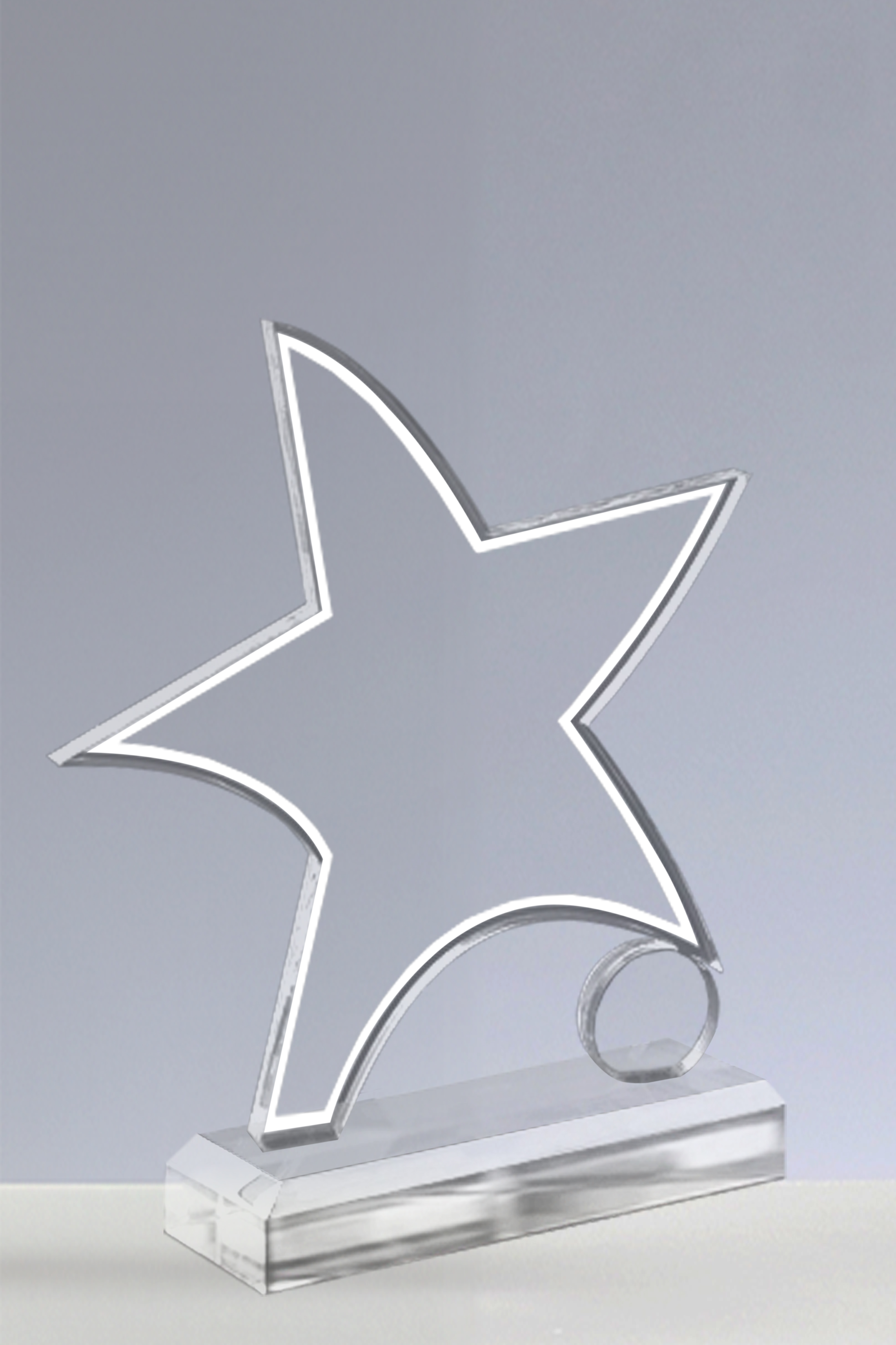 Trofee Personalizate PSW 113